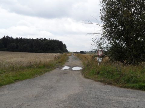 Foto 47